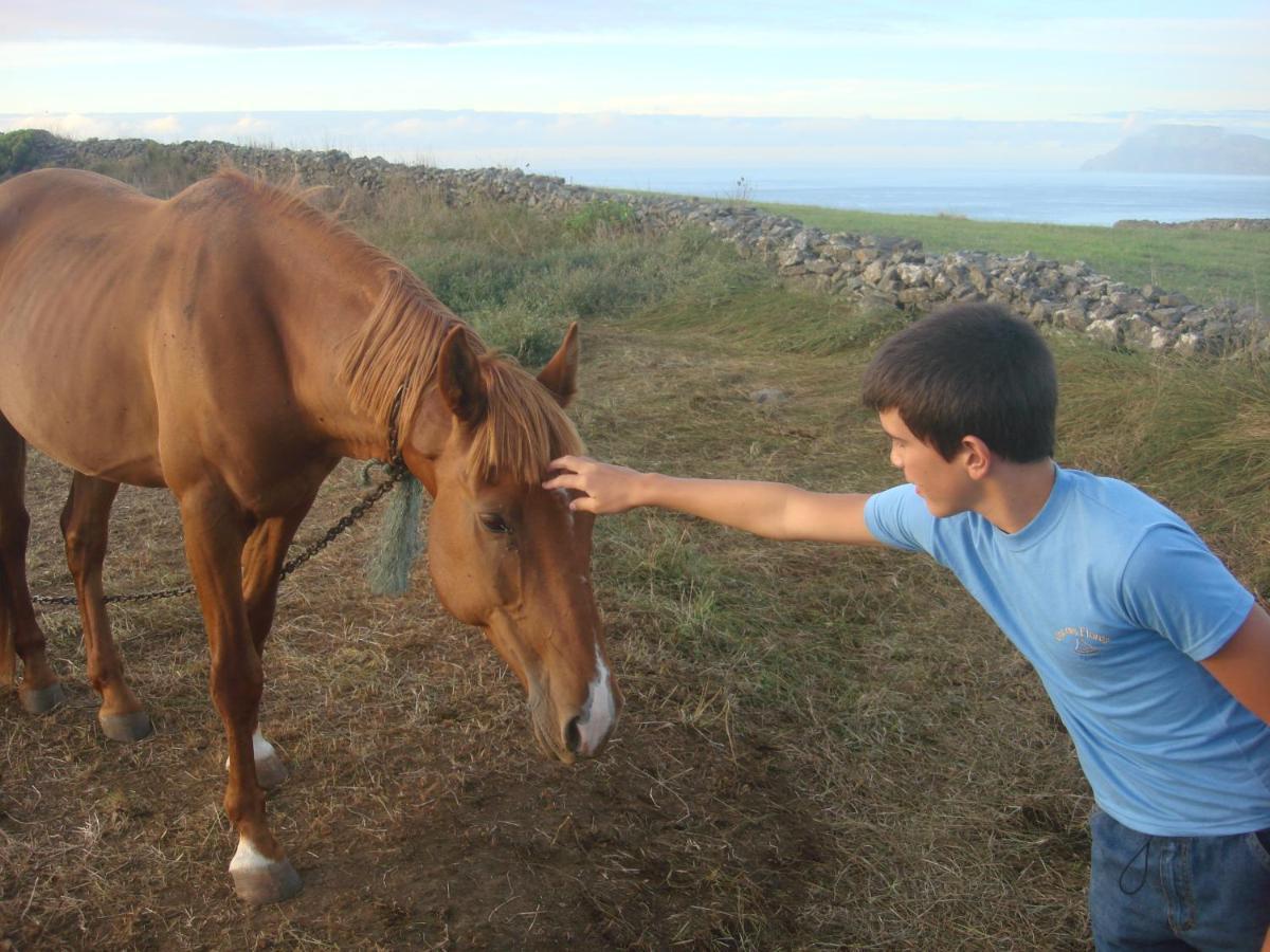 Casa Bela Vista Βίλα Ponta Delgada  Εξωτερικό φωτογραφία